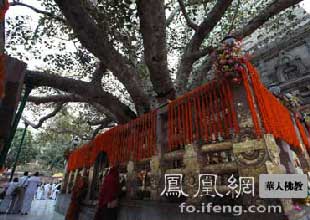 图片名
